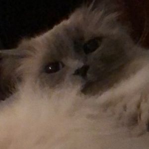 Meet your Posher, Kerry